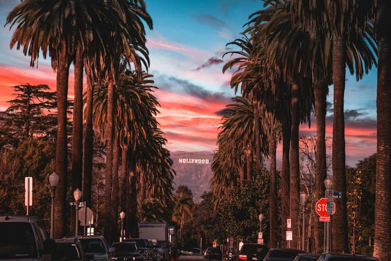 Los Angeles skyline featuring iconic palm trees and Hollywood Hills