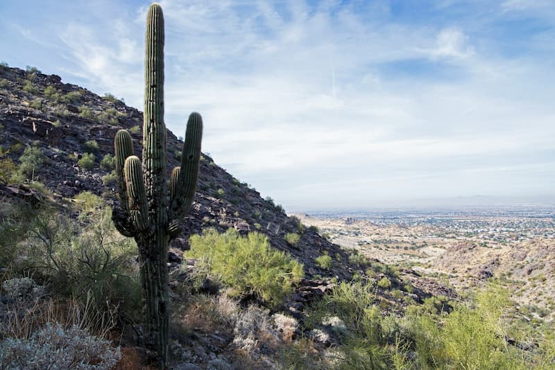 Phoenix skyline with Camelback Mountain and desert landscape
